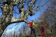 Anello Monte Ocone (1410 m) e Corna Camozzera (1452 m) dal Pertus (1300 m) l’8 aprile 2017 - FOTOGALLERY